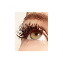 Eyelash Curl, Lift & Growth Treatment